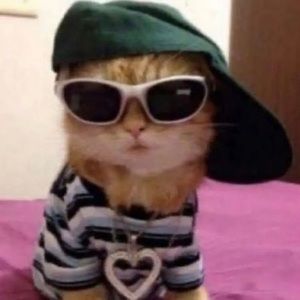 Meet your Posher, Josephine